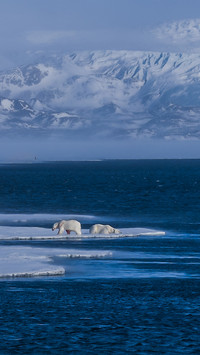 Arctic frost landscape