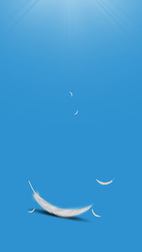 轻鸿落羽