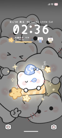 Pro 手电筒幸运小猫