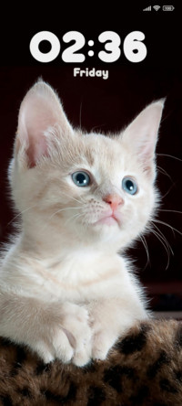 Kitten Textile