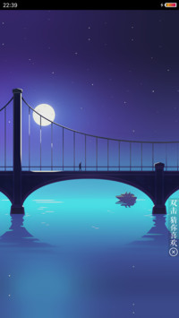（好评返现）桥海（流星+动态）
