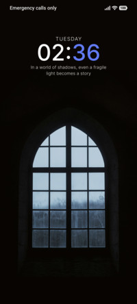 Midnight Window