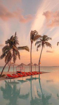 How to choose among the numerous islands in the maldives