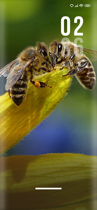 Bees