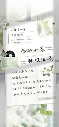 唯独山茶极致浪漫