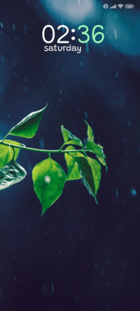 Leaf Dream