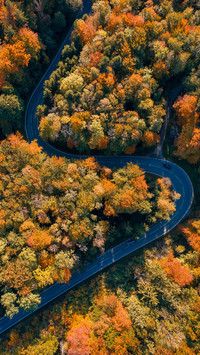 How beautiful autumn is around you 59