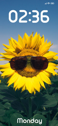 Sunglasses