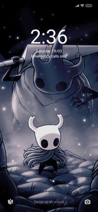 HollowKnight V12.5