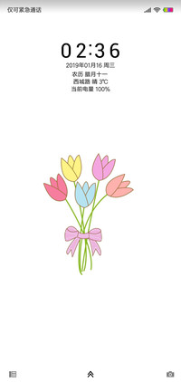 清雅之花