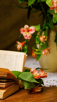 alstromeriya flowers in the book
