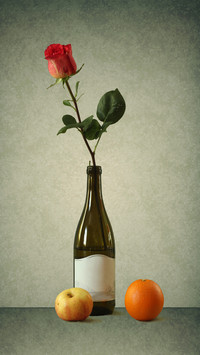 How much do you know about rose language