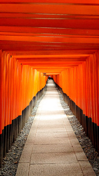 风雅京都