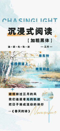 沉浸式阅读加粗黑体