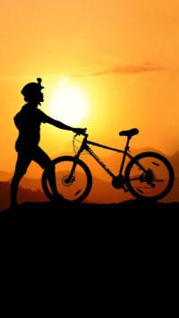 Bicycle (12)