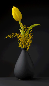 Still life of plants