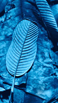 Art Wallpapers-09