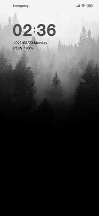 Misty jungle