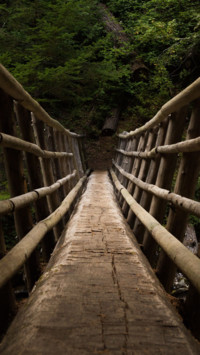 Bridges Of Life (23)
