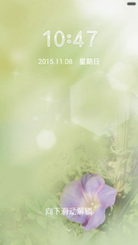 小清新植物