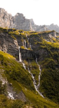 Nature HD - 2020-06-02T123820.588