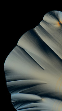 结晶