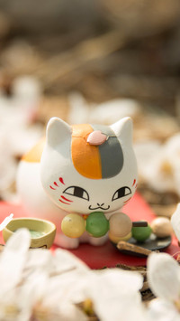 猫咪老师 又萌又治愈