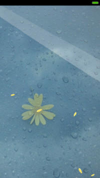 非主流雨滴文字控