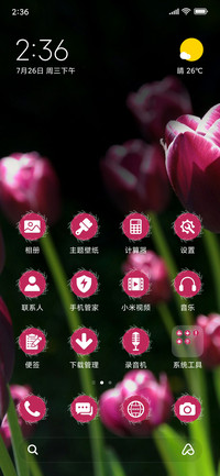 Tulips_3MDS