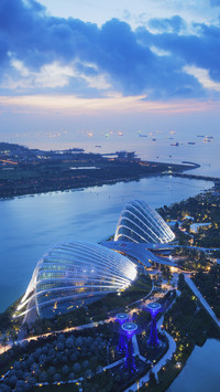 International-Singapore Gardens