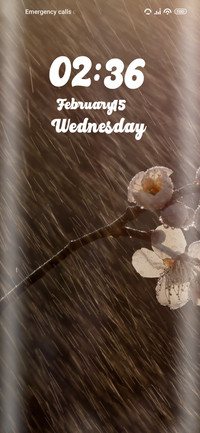 Blossom Rain