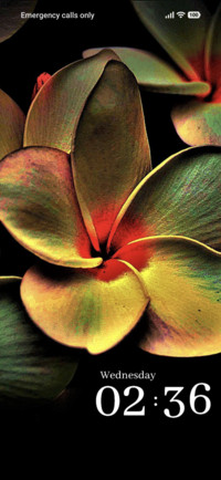 Floral Art