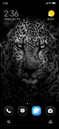 Grayscale Leopard