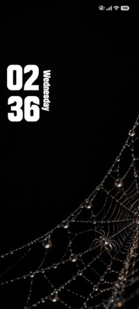 Silver Web