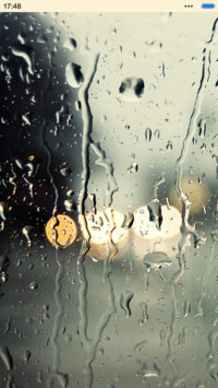 恋一场雨