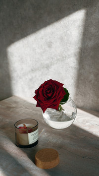 Roses are on the table