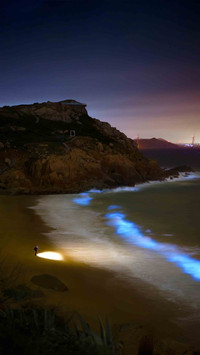 Watching the stars fall into the sea