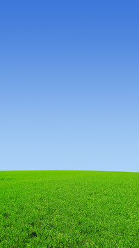Green eye protection prairie wallpaper