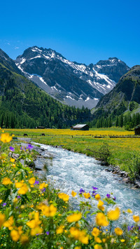 VCG41N1051820484