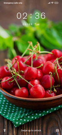 Cherry-2_3MDS