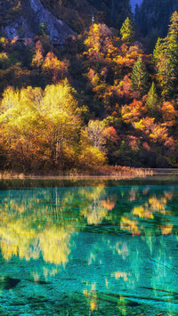 美如油画的风景
