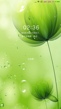幸福绿叶草