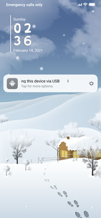 WHITE EMUI FINAL