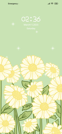Cure daisies