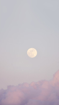 星月温柔 