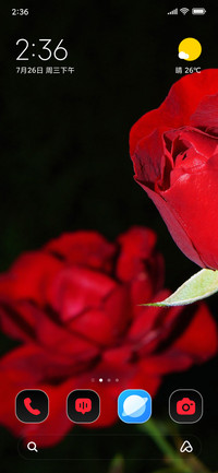 Roses