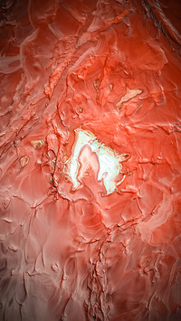 Powder blusher of the earth