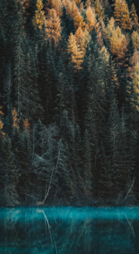 Adventure in Nature (22)