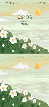 Salt Daisy