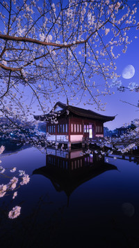A unique night view of West Lake 4